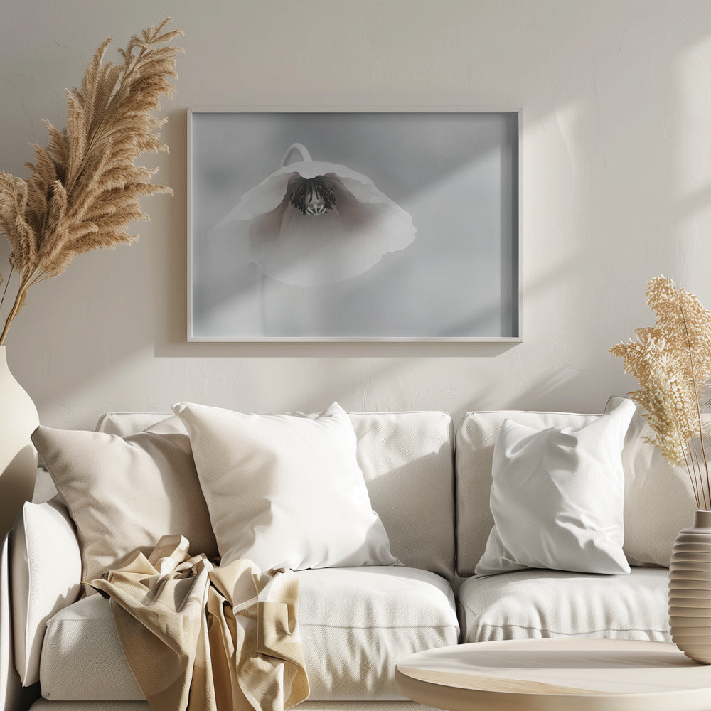 Vergängliche Schönheit | Poster - Kunstdruck