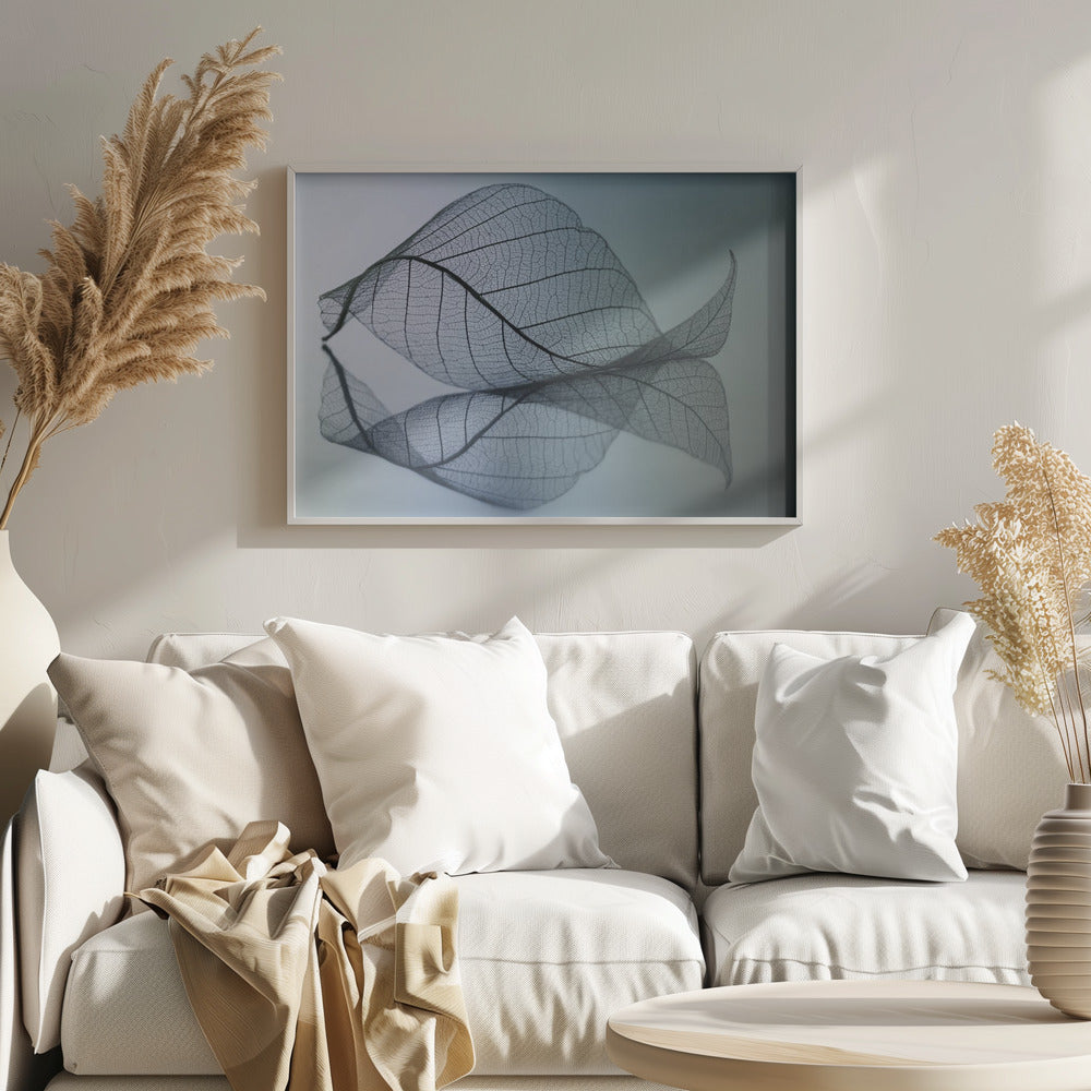 Kaarevuus | Julisteet - Taidevedokset