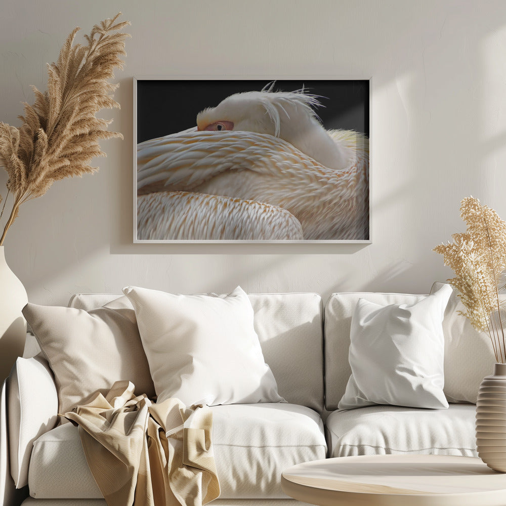 Olla puoliksi unessa... | Julisteet - Taidevedokset