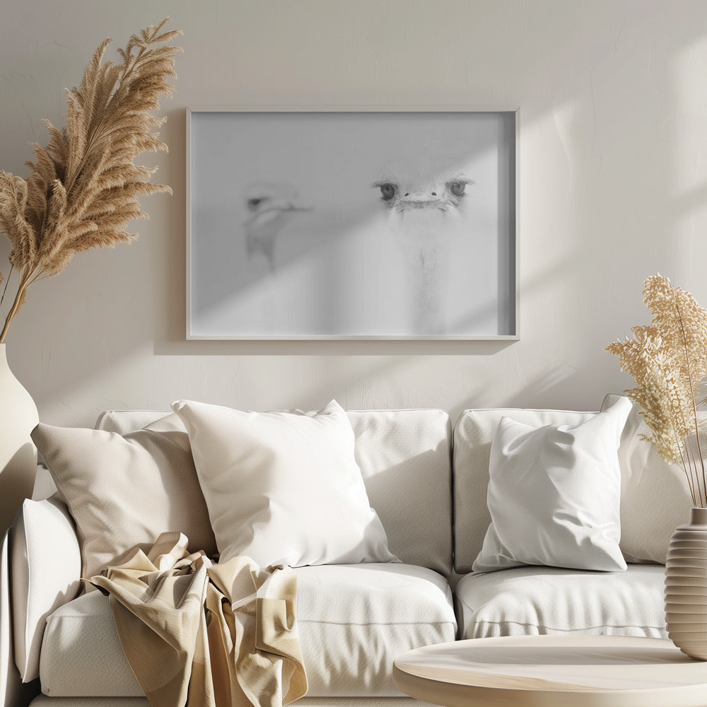 Funny ostrich | Poster