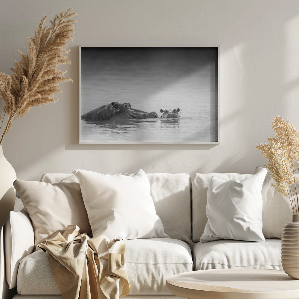 Silmien taso | Julisteet - Taidevedokset