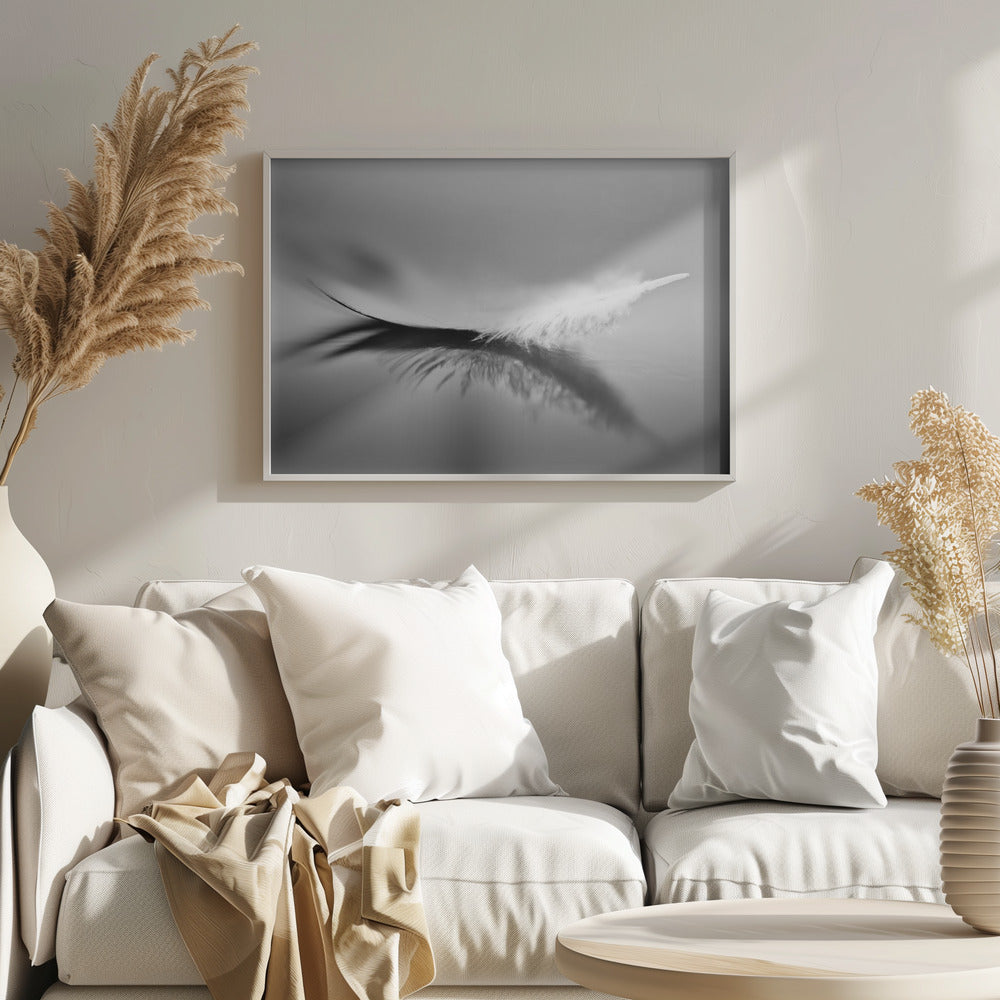 White | Poster