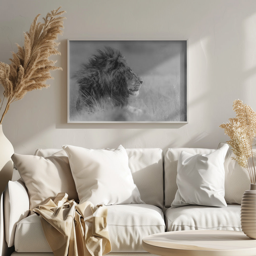 Kuningas on yksin | Julisteet - Taidevedokset