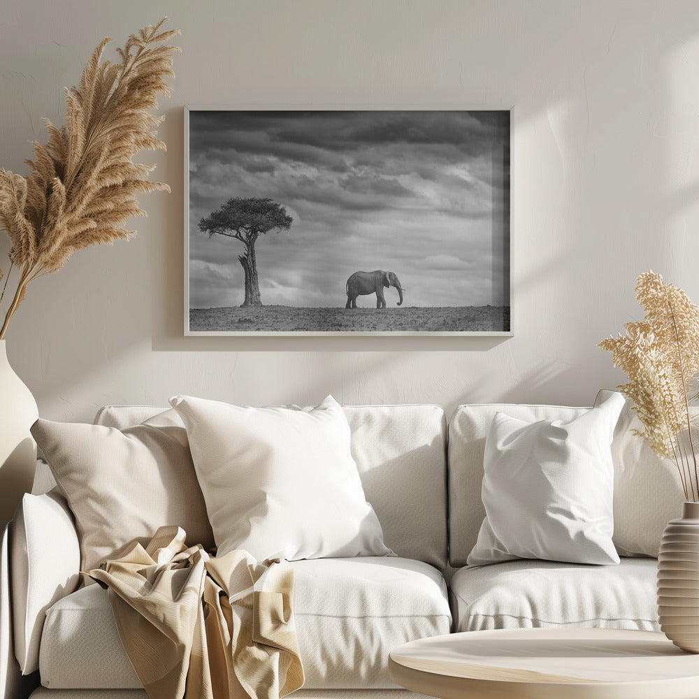 Elephant Landscape | Poster
