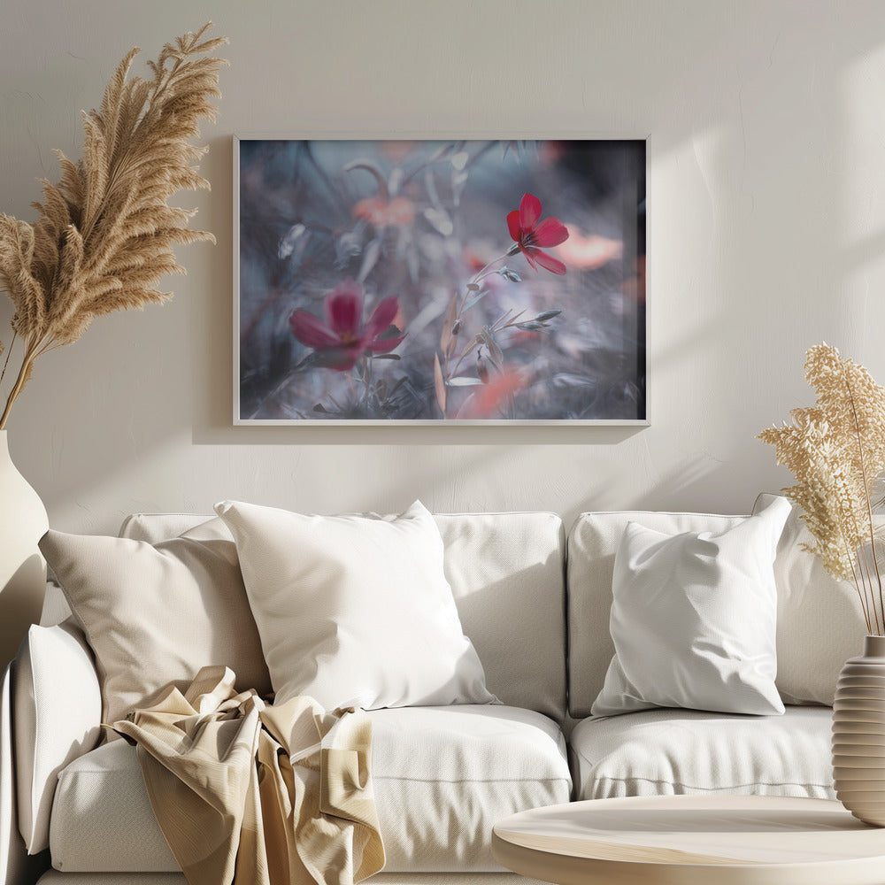 Une Fleur, une Histoire | Poster
