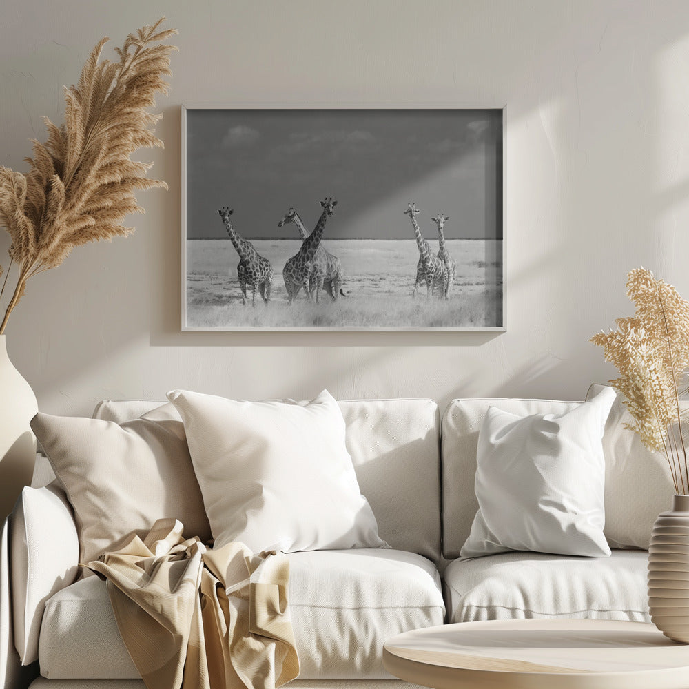 Schau mal, Mädchen, seltsame Tiere | Poster - Kunstdruck