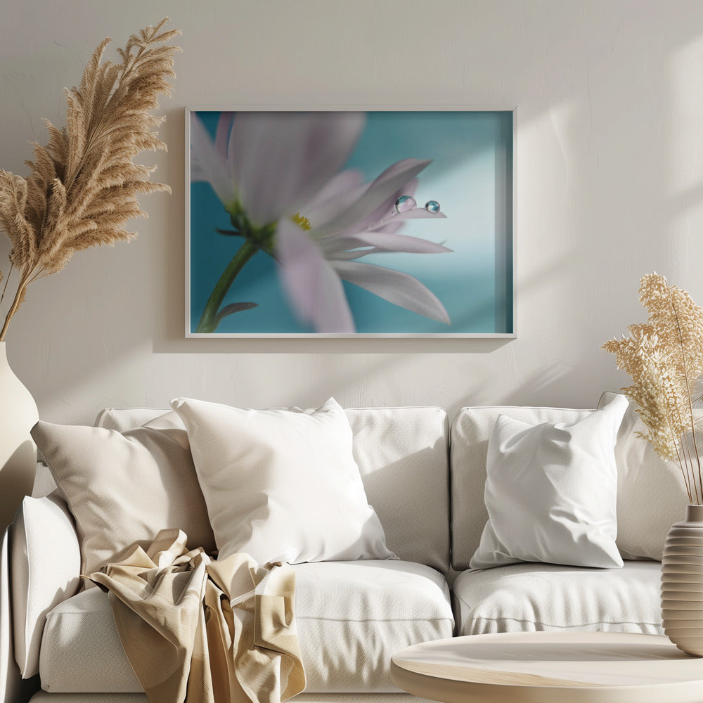 Turkoosi yritys | Julisteet - Taidevedokset