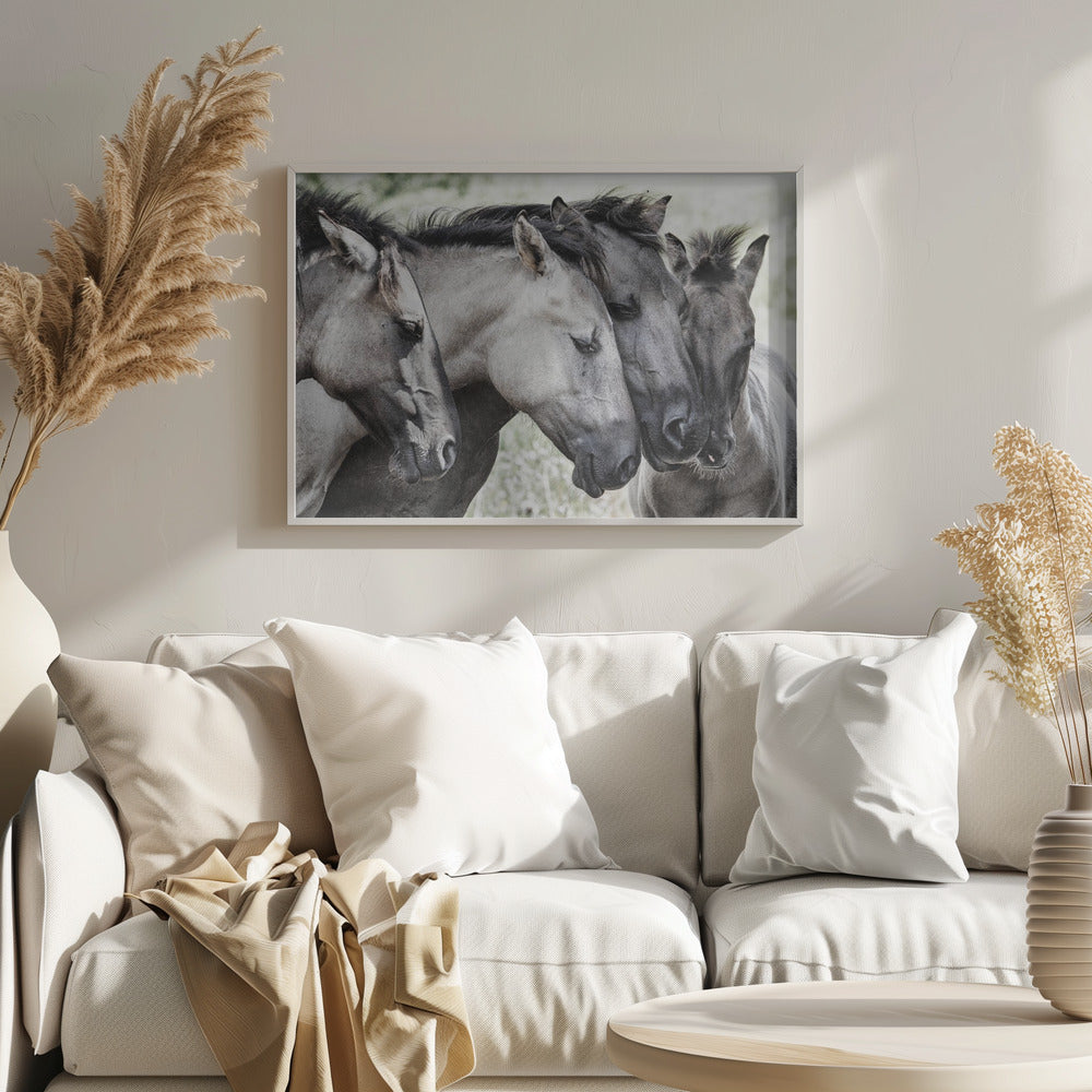 Four Konik Horses | Poster