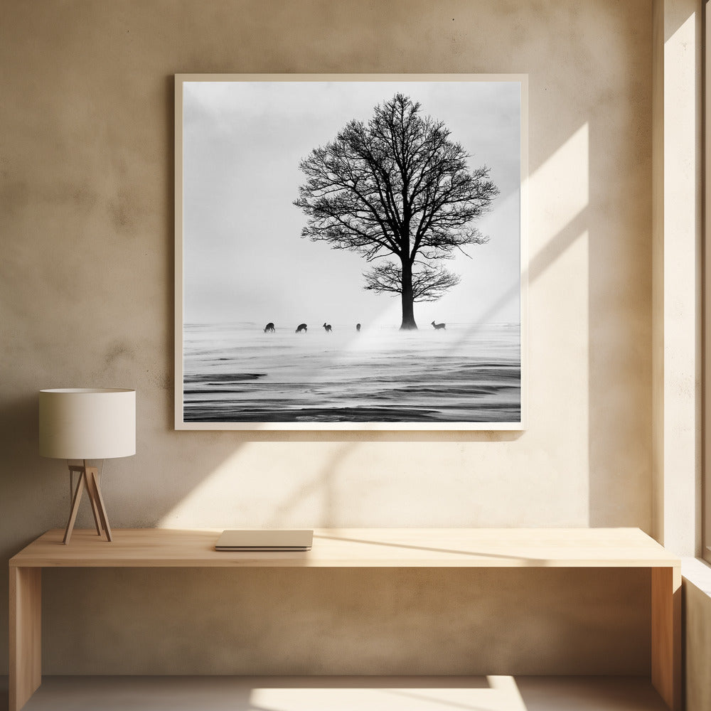 Roes | Poster