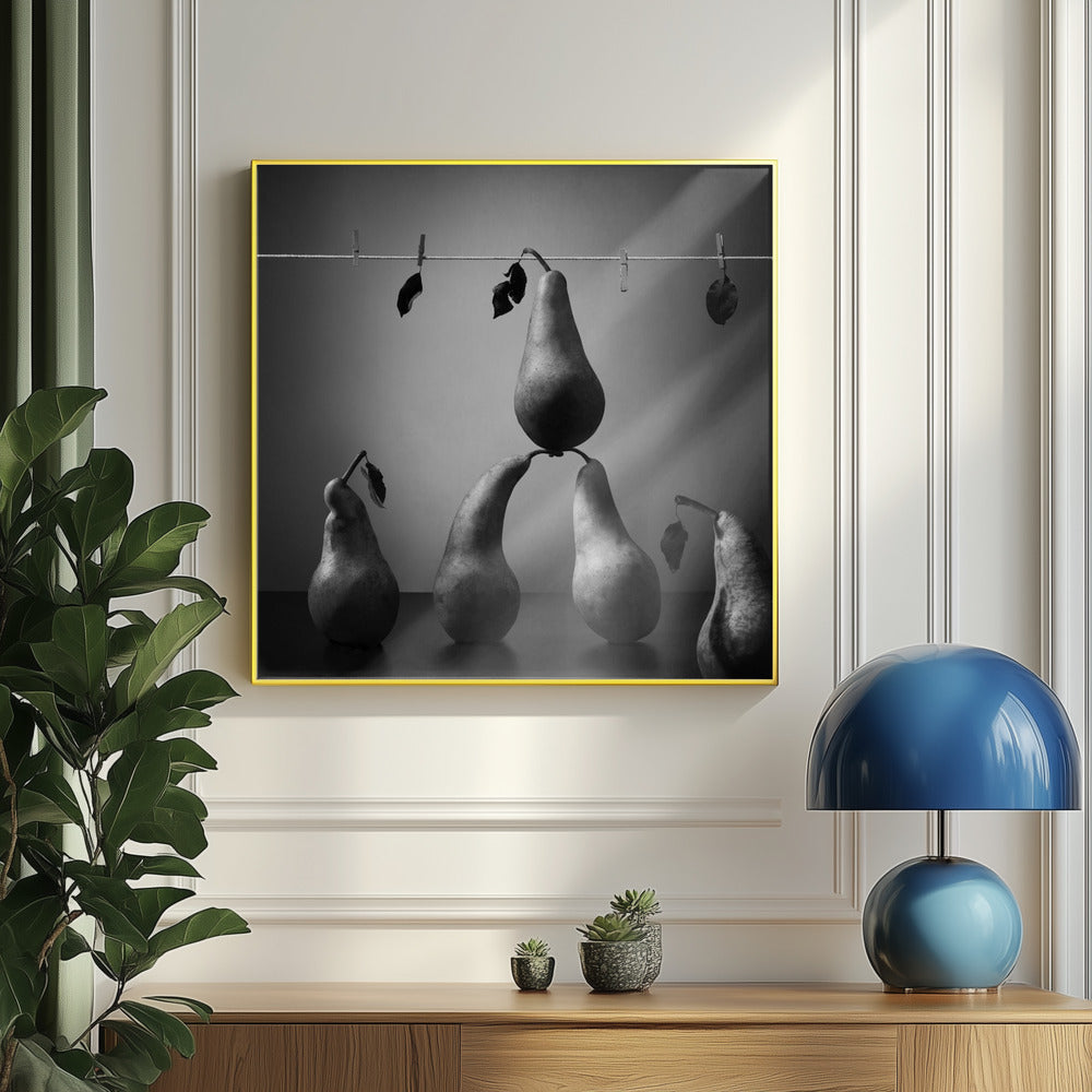 Pese ja kuivaa | Julisteet - Taidevedokset