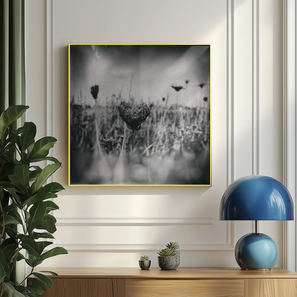 Wet Plate Photography Natur 4 | Poster
