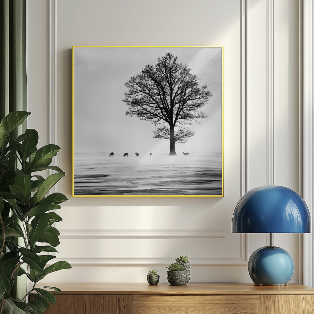 Roes | Poster