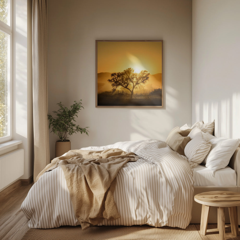 Golden Sunrise | Poster