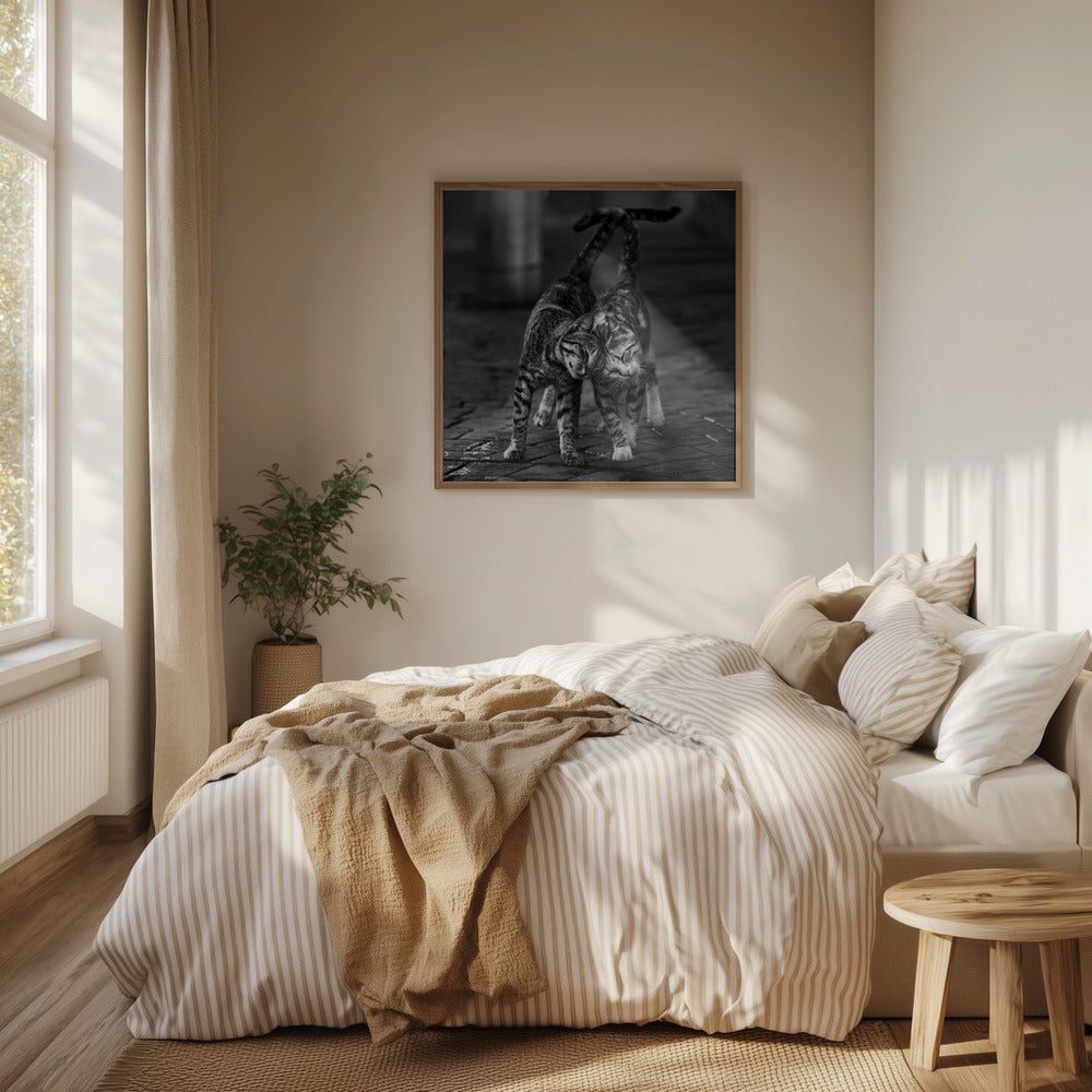 Untitled | Poster