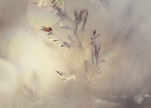 Pequeña dama Papel Pintado Fotográfico