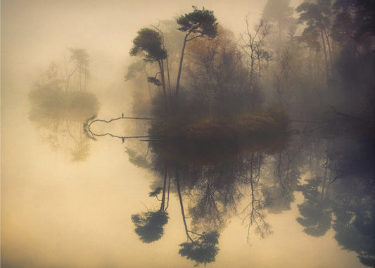 Minun paikkani | Julisteet - Taidevedokset