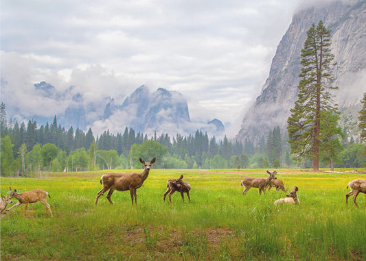 Muinaisen ajan tunne | Valokuvatapetit