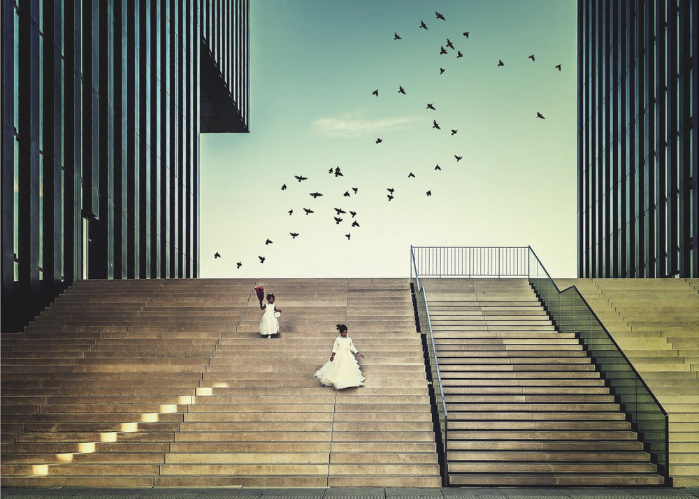 Vapaa kuin lintu... | Julisteet - Taidevedokset