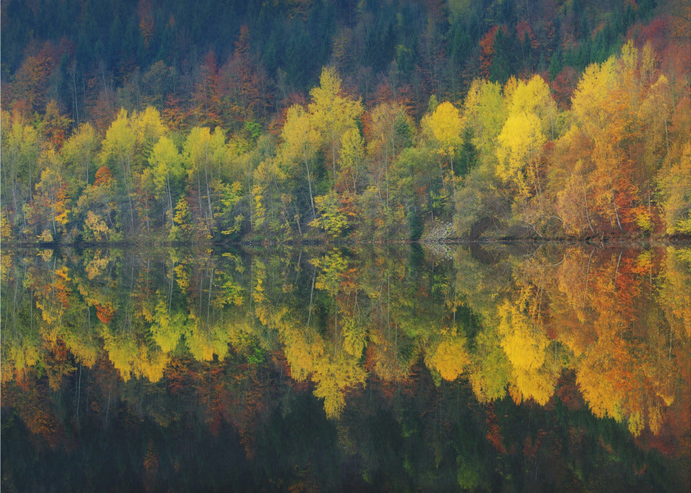 Silenzio autunnale | Carta da Parati Fotografica