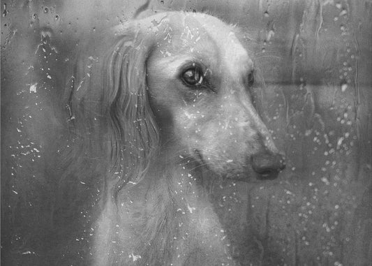 Syksy | Canvastaulut