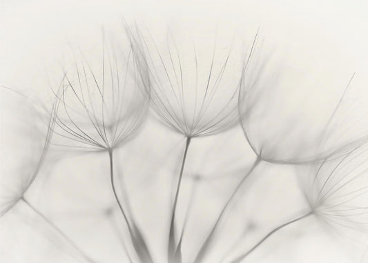 Ei otsikkoa | Valokuvatapetit