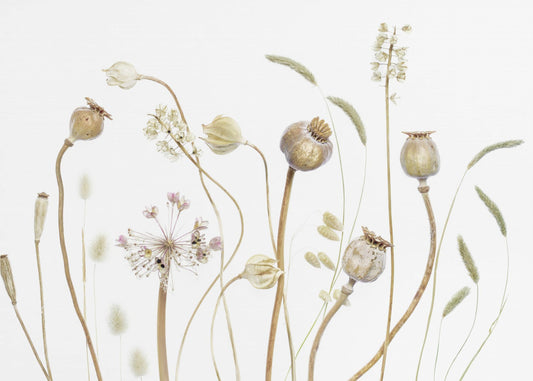 Vainas | Papel Pintado Fotográfico