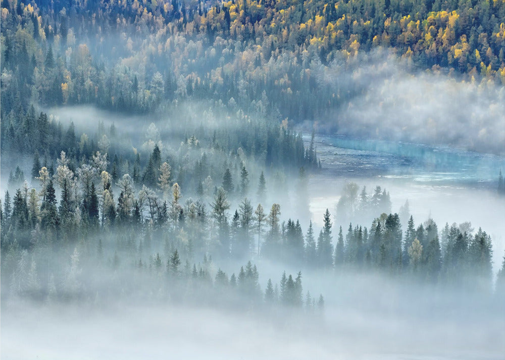 Taikalahti | Julisteet - Taidevedokset