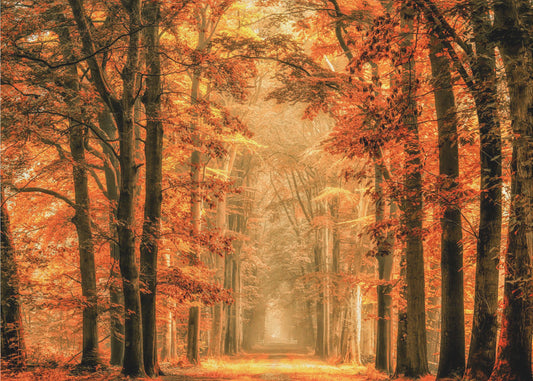 Wyjdź z portalu | Fototapeta