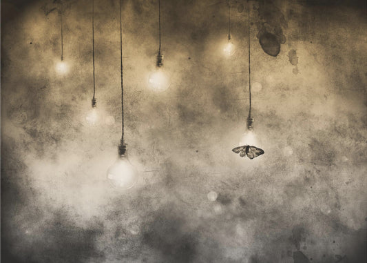 atracción | Papel Pintado Fotográfico