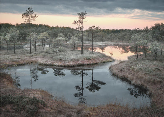 Rozlana farba | Fototapeta