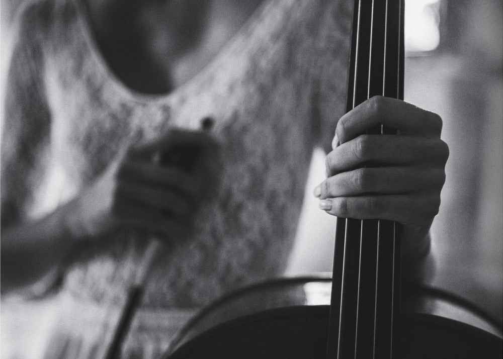 Pause für das Cello | Leinwand-Bilder