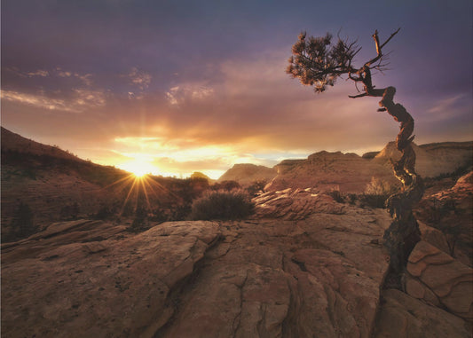 Zniekształcony | Fototapeta