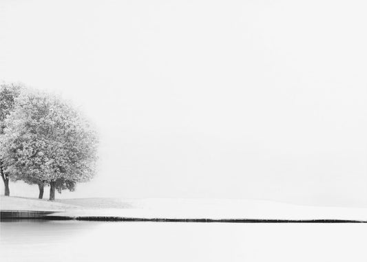 Unidos #2 | Impresiones en Lienzo