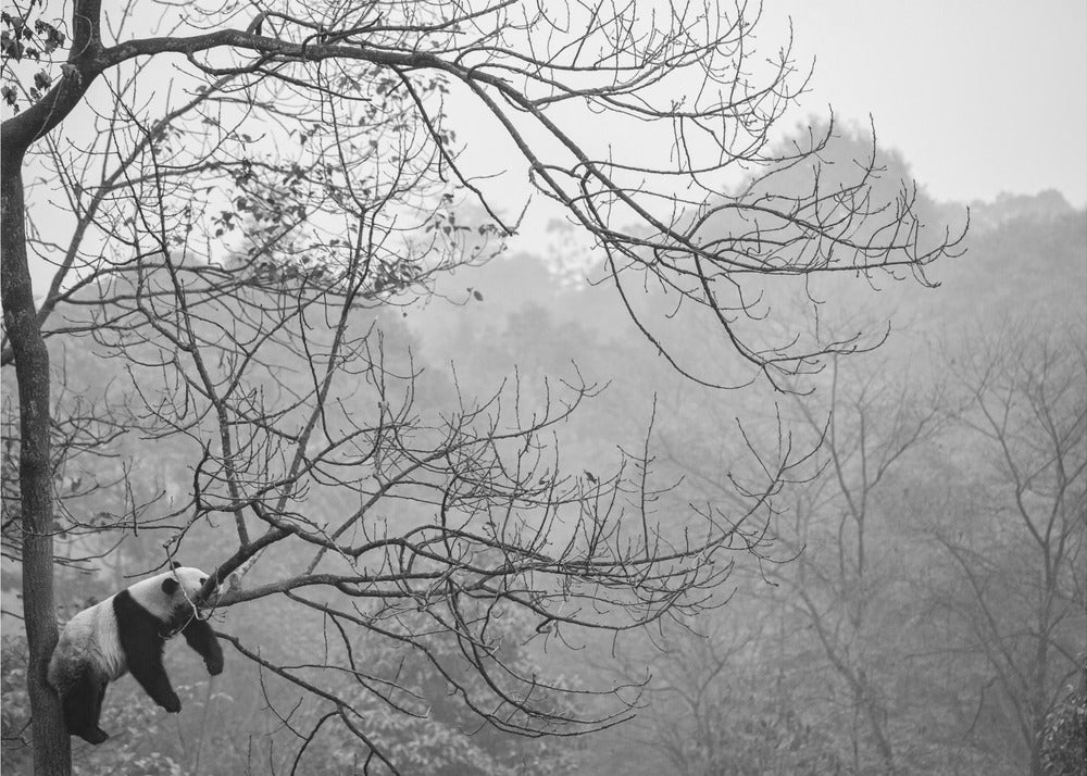 Entspannen | Poster - Kunstdruck