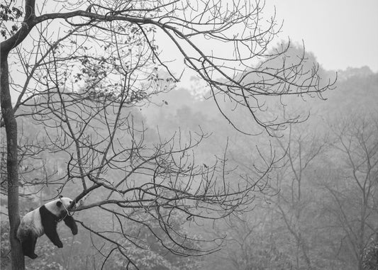 Entspannen | Poster - Kunstdruck