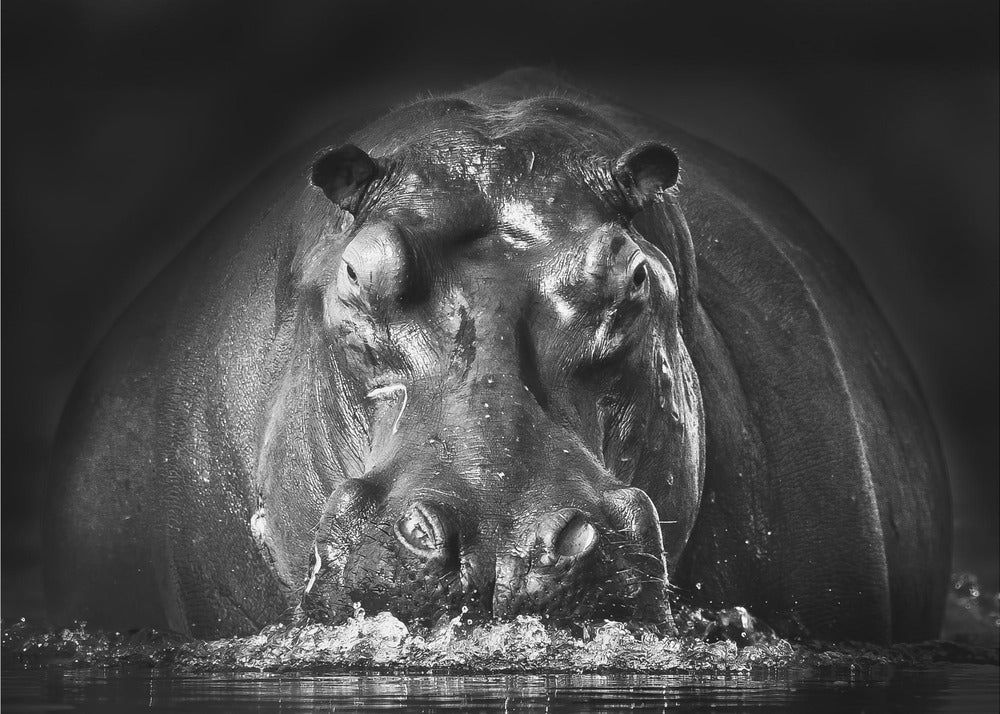 TEHO | Julisteet - Taidevedokset