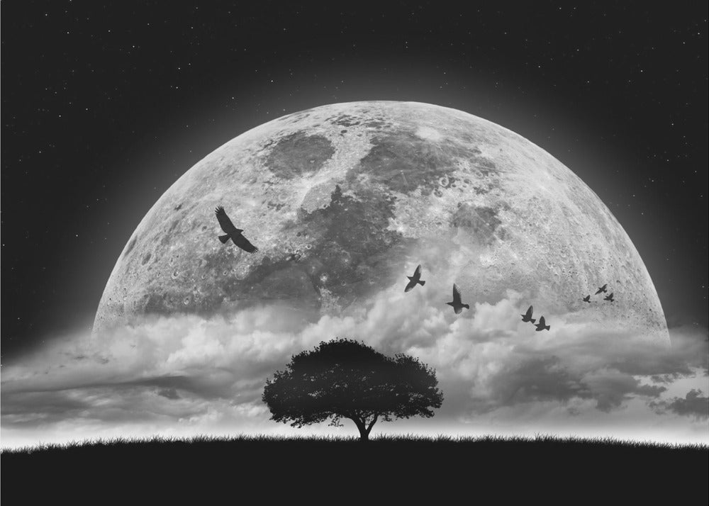 Unelma | Julisteet - Taidevedokset