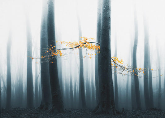 Speulder ponownie odwiedzony | Fototapeta