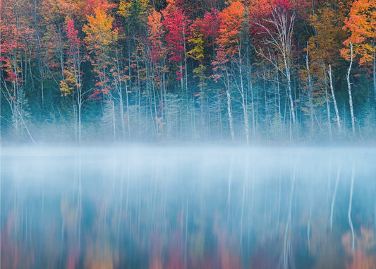 Morgenreflexion | Fototapeten