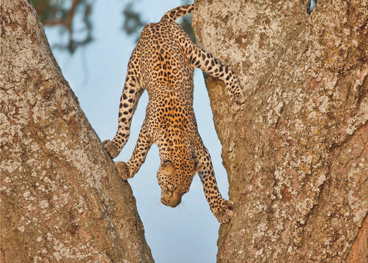 Ylösalaisin | Valokuvatapetit