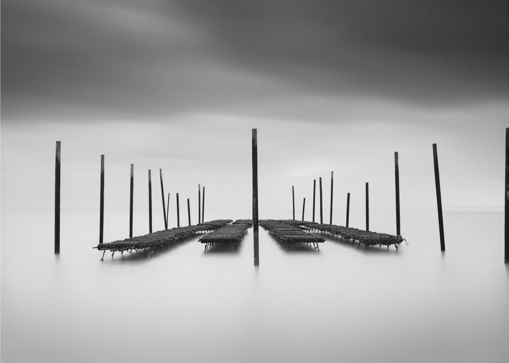 Oyster-baari | Valokuvatapetit