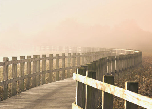 Der Weg wird heller. | Poster - Kunstdruck