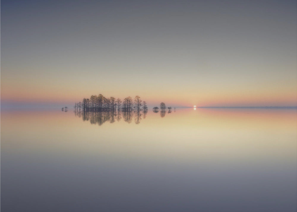 Mattamuskeet-järven muisto | Valokuvatapetit