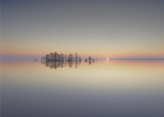 Mattamuskeet-järven muisto | Valokuvatapetit