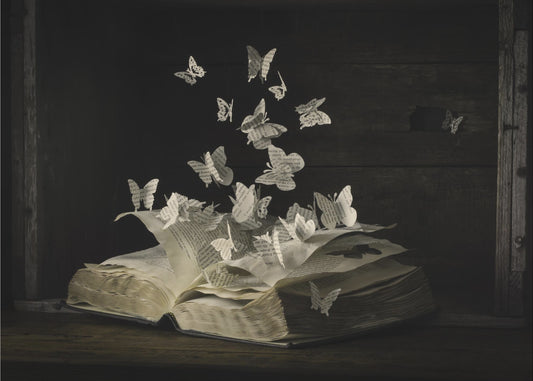 Lepidopterología | Papel Pintado Fotográfico