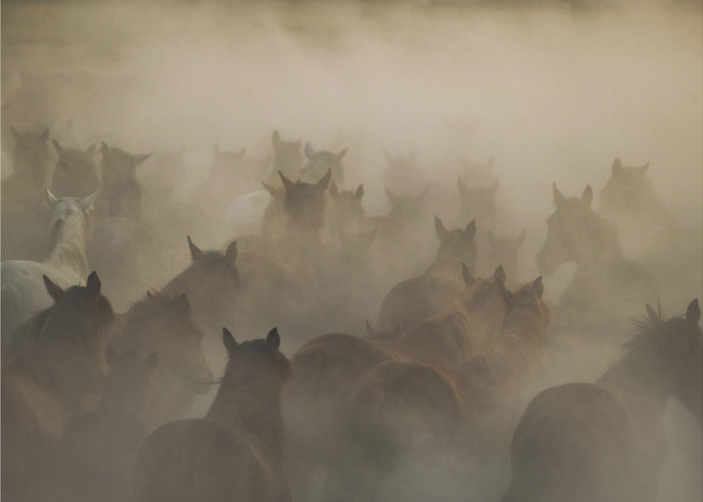 in dust | Poster