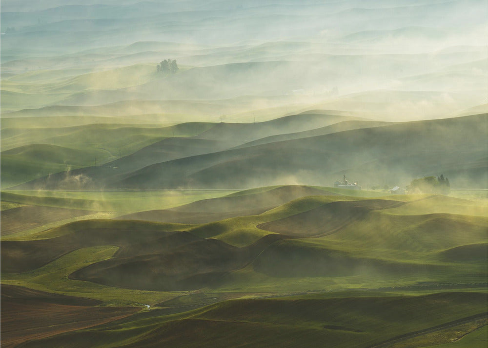 Złoty Poranek-Palouse | Fototapeta