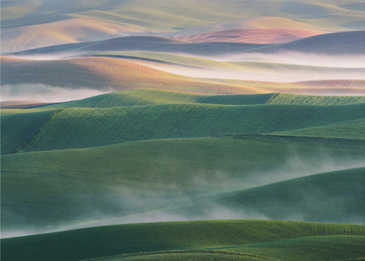 Mglisty poranek | Fototapeta