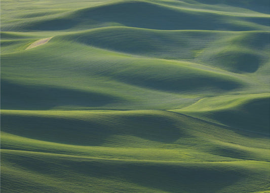 Delikatna skóra Ziemi | Fototapeta