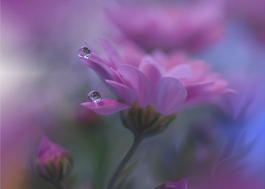 All of Me... | Poster